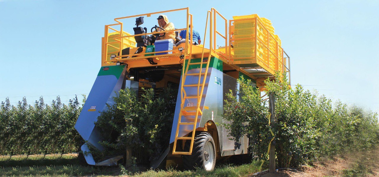 Аренда техники для уборки деревьев