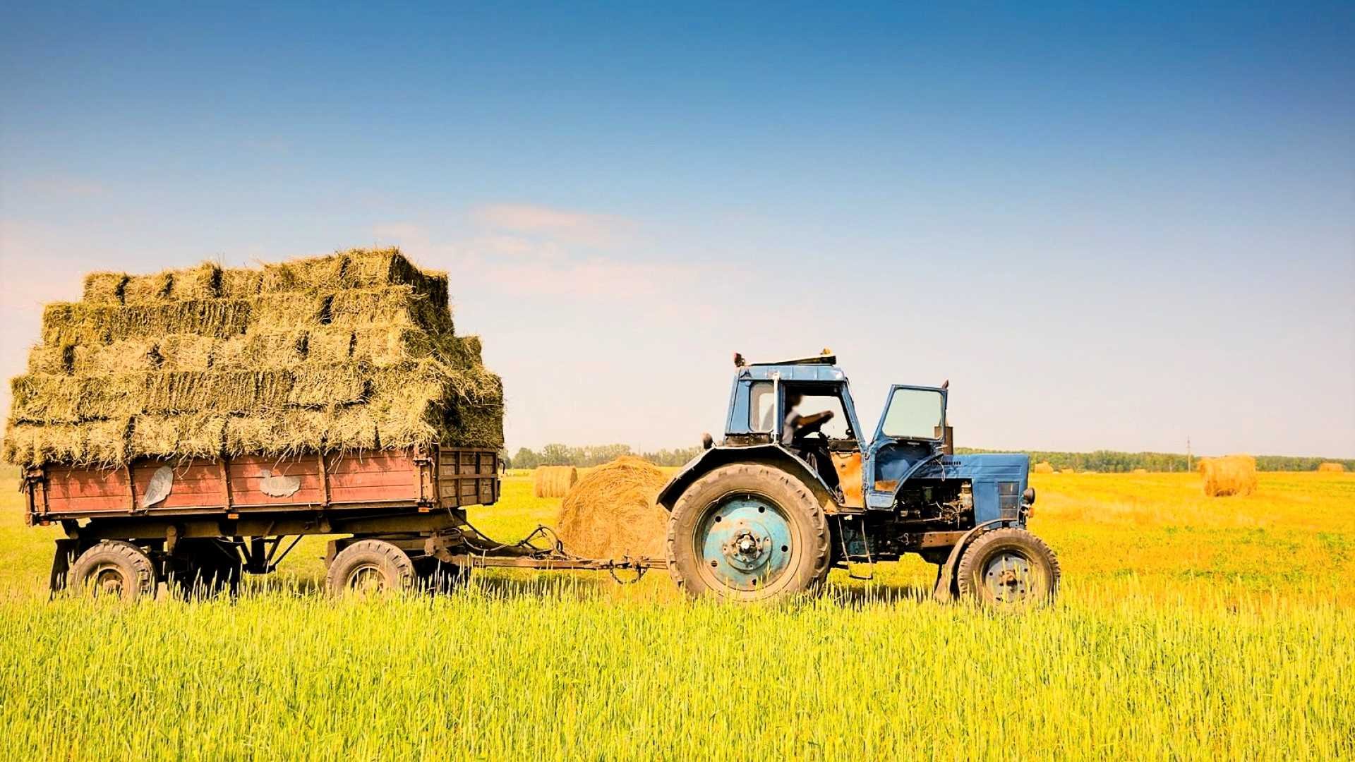 Аренда тракторов колесных: преимущества и особенности 